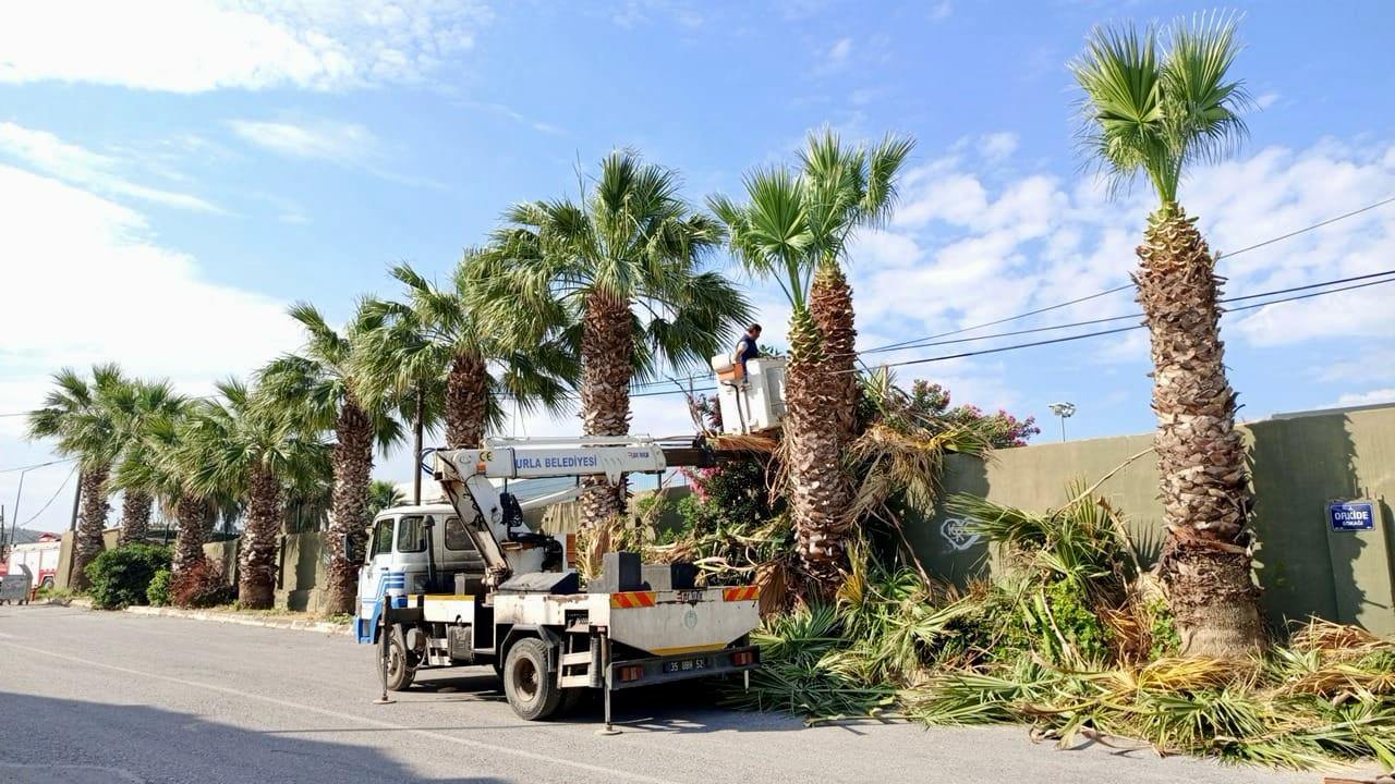 Urla Belediye Başkanı