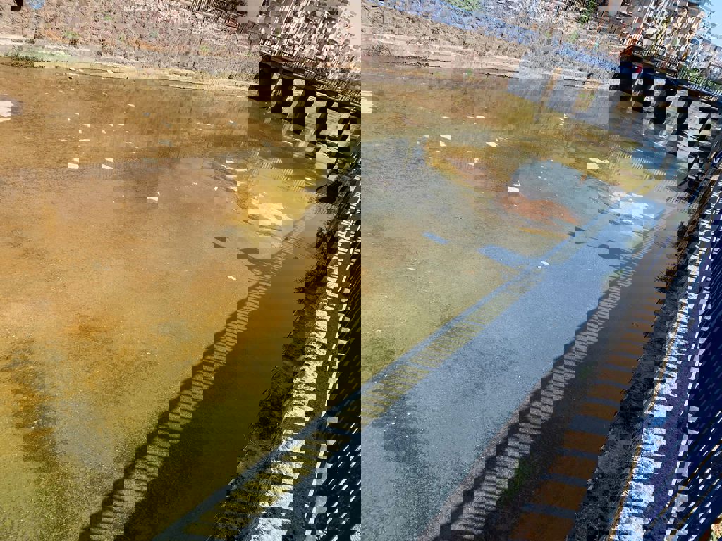 Whatsapp Image 2025 06 05 At 11.55.31 1024X768