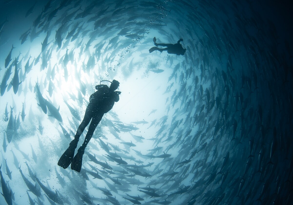 Orkinoslar İzmir Çeşme Boğazı’nda dalga devriyesinde-3