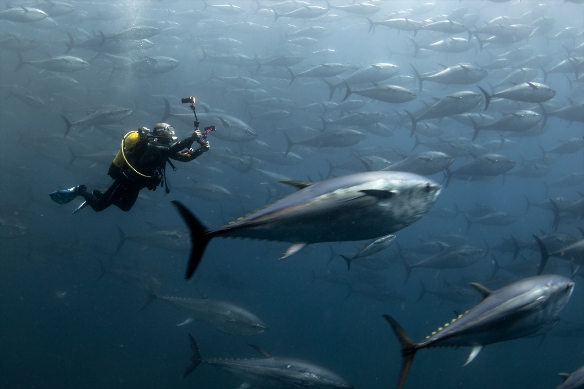 Orkinoslar İzmir Çeşme Boğazı’nda dalga devriyesinde-1