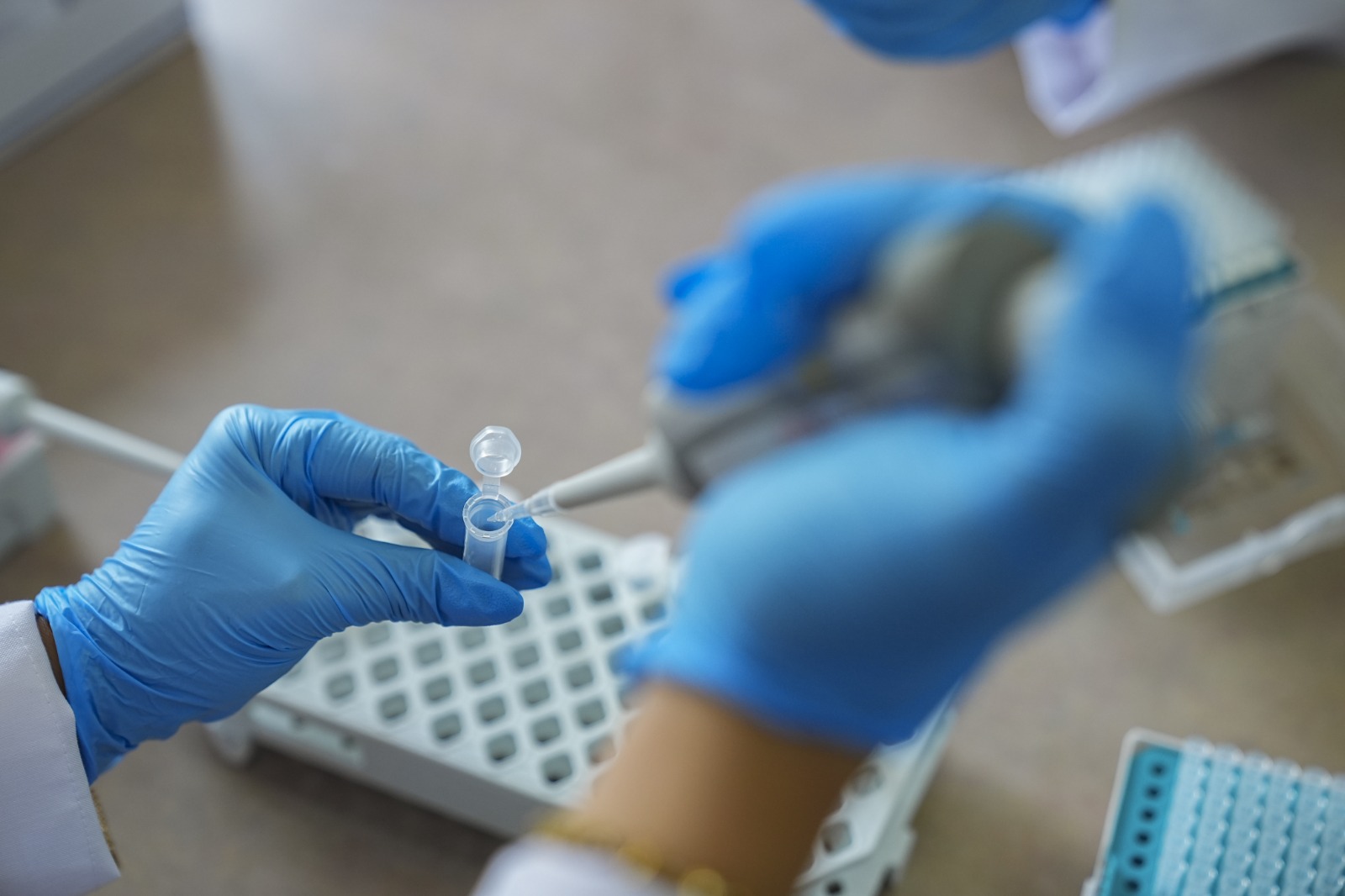 Emine Erdoğan Enstitüsü: Türkiye’nin tohumda yeni gücü-1