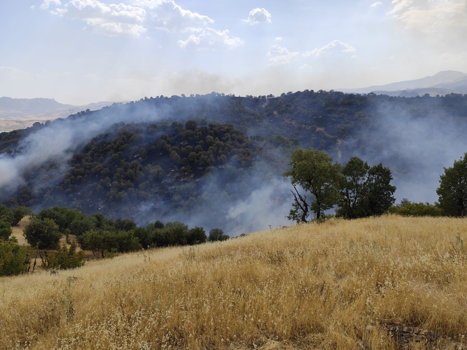 İlçe halkı seferber oldu, soruşturma başlatıldı