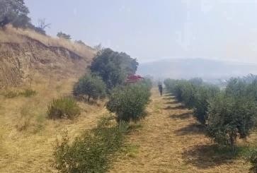 Nazilli'deki yangın faciası ve soruşturma süreci