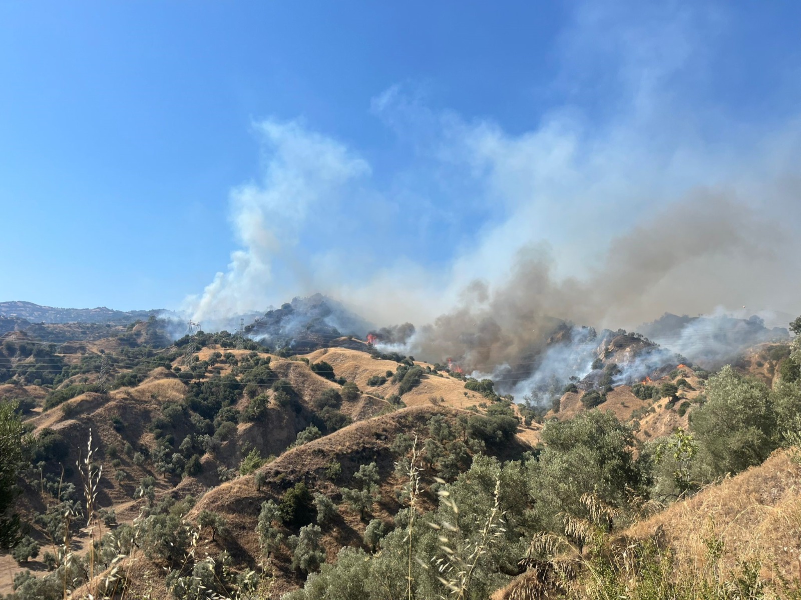 Karadan ve havadan kapsamlı müdahale başlatıldı