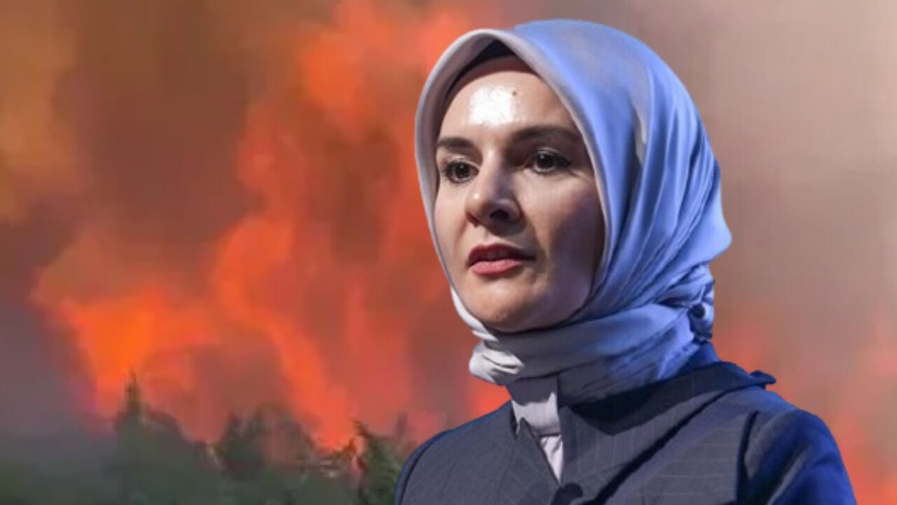 Bakan Goktas Duyurdu Yangin Bolgelerine 10 Milyon Liralik Destek