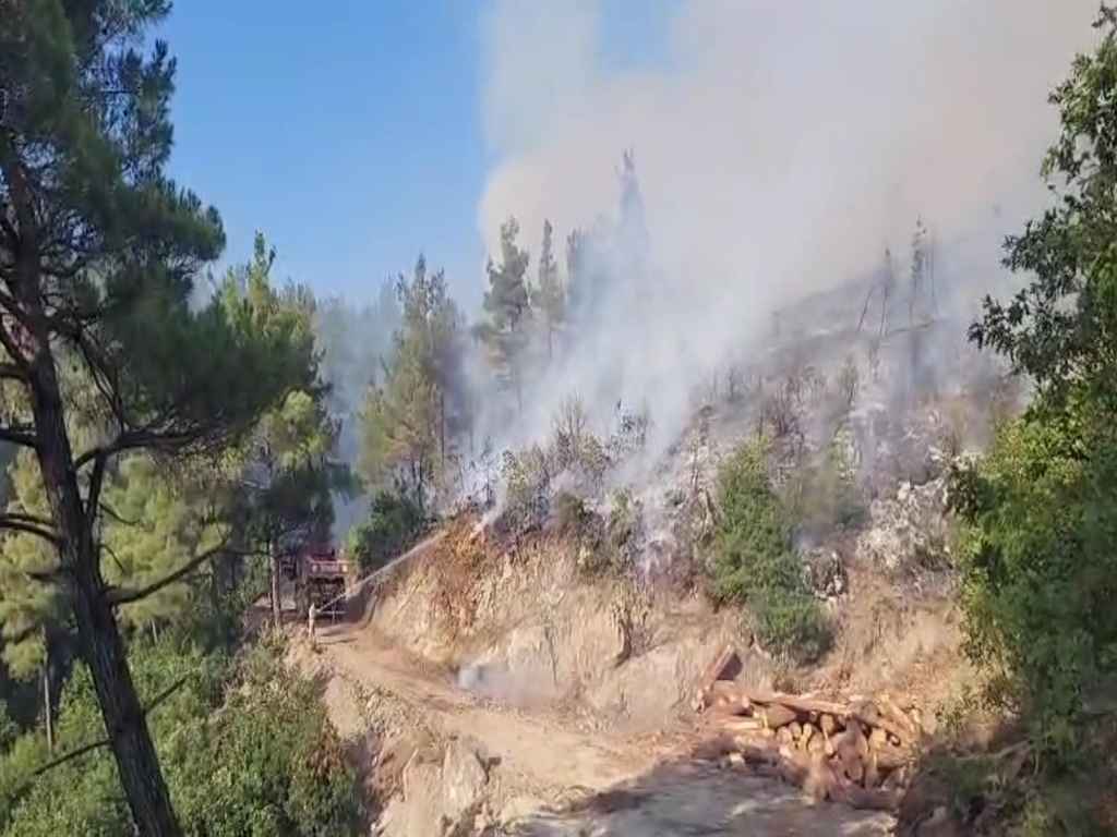 Balıkesir Yangın-2