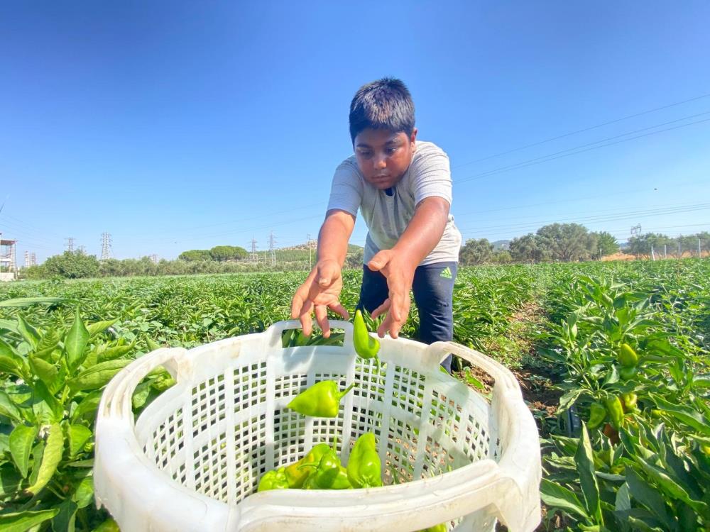 “Emeğimizin karşılığını aldık”