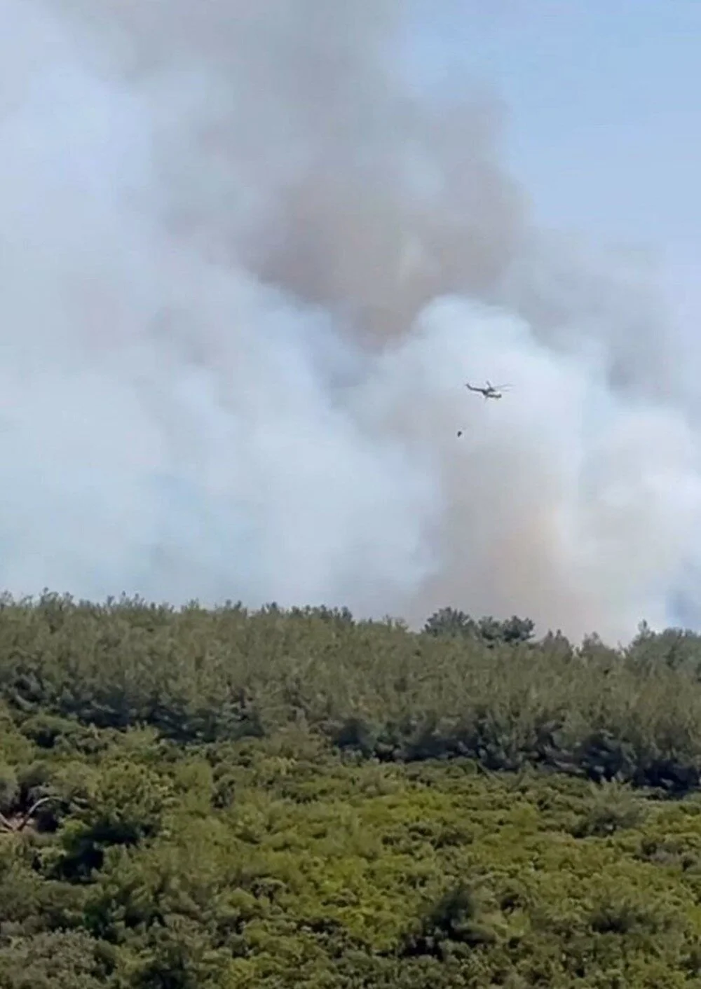 Büyükşehir’den yangınlarla ilgili açıklama