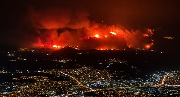 Hayvanları kurtarmaya çalışan yurttaşlar seferber oldu