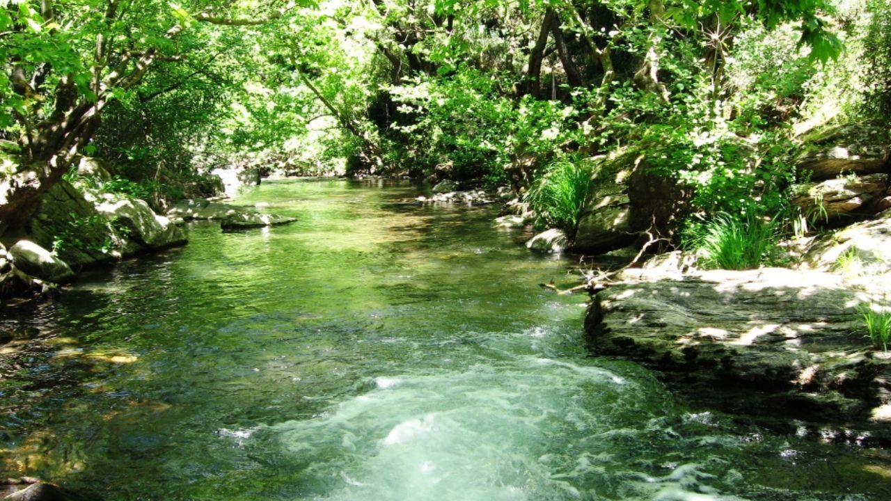 Buz Gibi Deresi Ve Asırlık Çınarları Ile Büyülüyor Piknikçilerin Vazgeçilmez Rotası! (1)