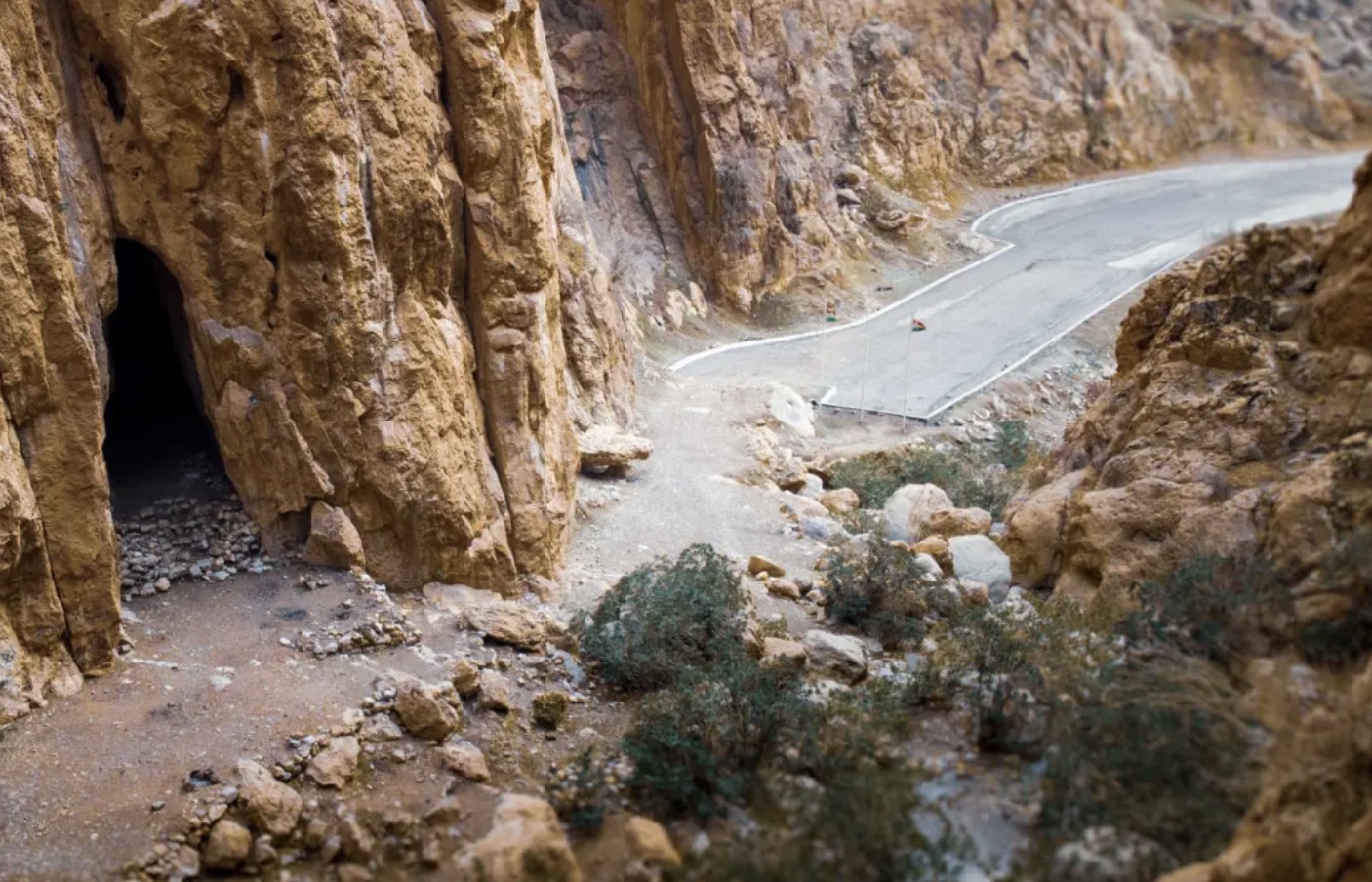 Cesena Magarasi Nerede