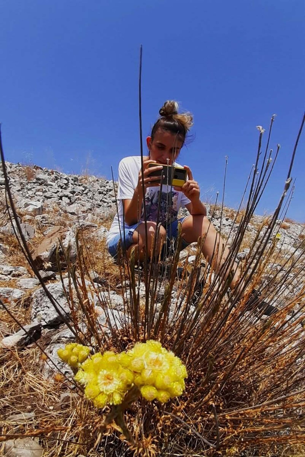 Nesli tükenme riskinde: Rüzgar enerji santralleri endişesi