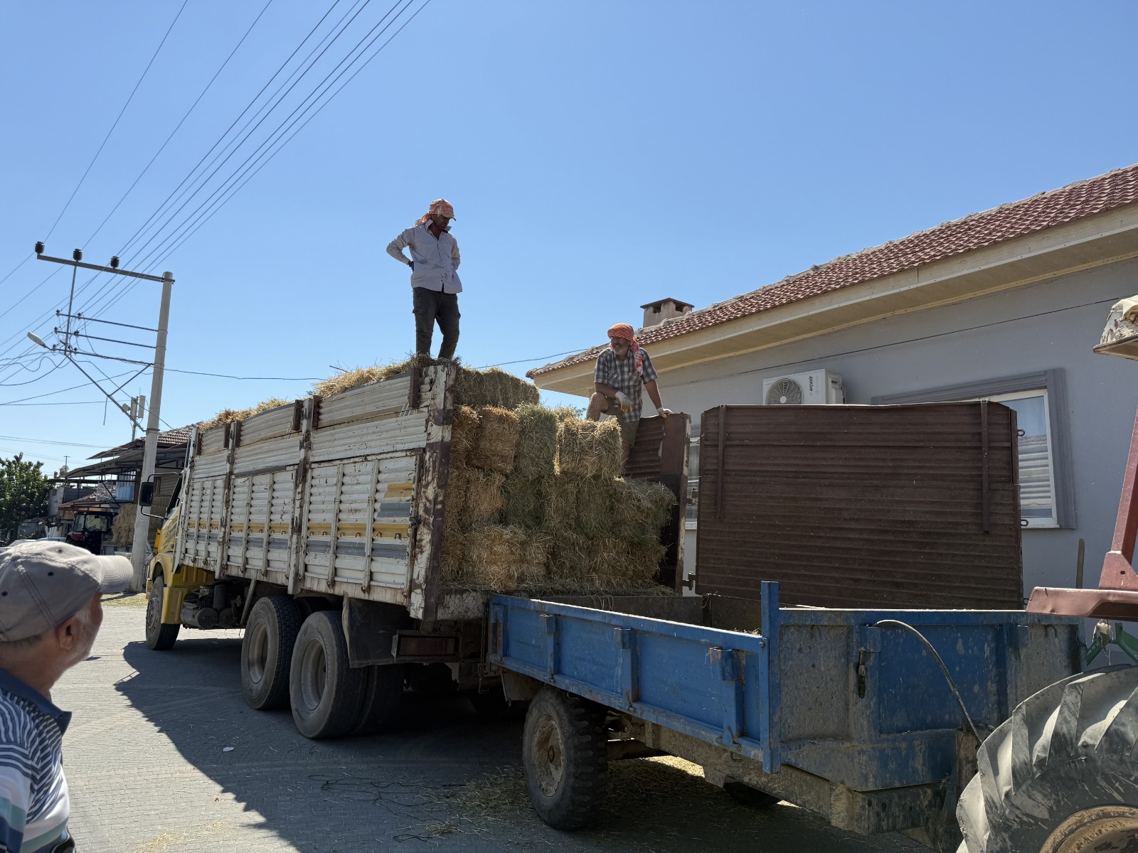 Ödemiş'teki yangın felaketinin yaraları sarılıyor