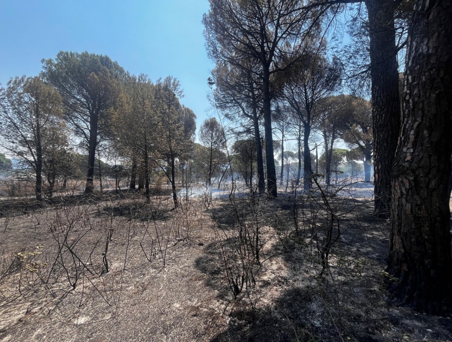 Havadan ve karadan yoğun müdahale sayesinde felaket önledi