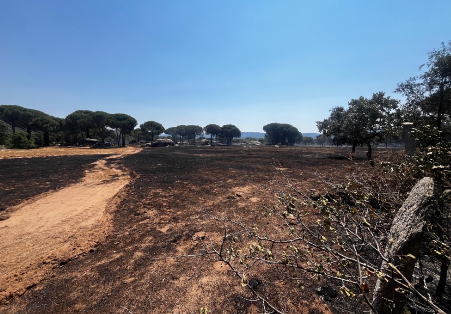 Hasar tespiti ve soğutma çalışmaları devam ediyor