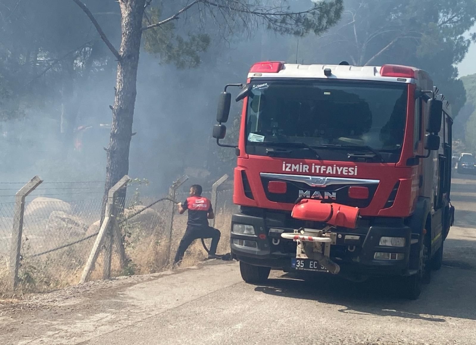 İzmir Büyükşehir Belediyesi ve Orman Bölge Müdürlüğü'nden kapsamlı müdahale