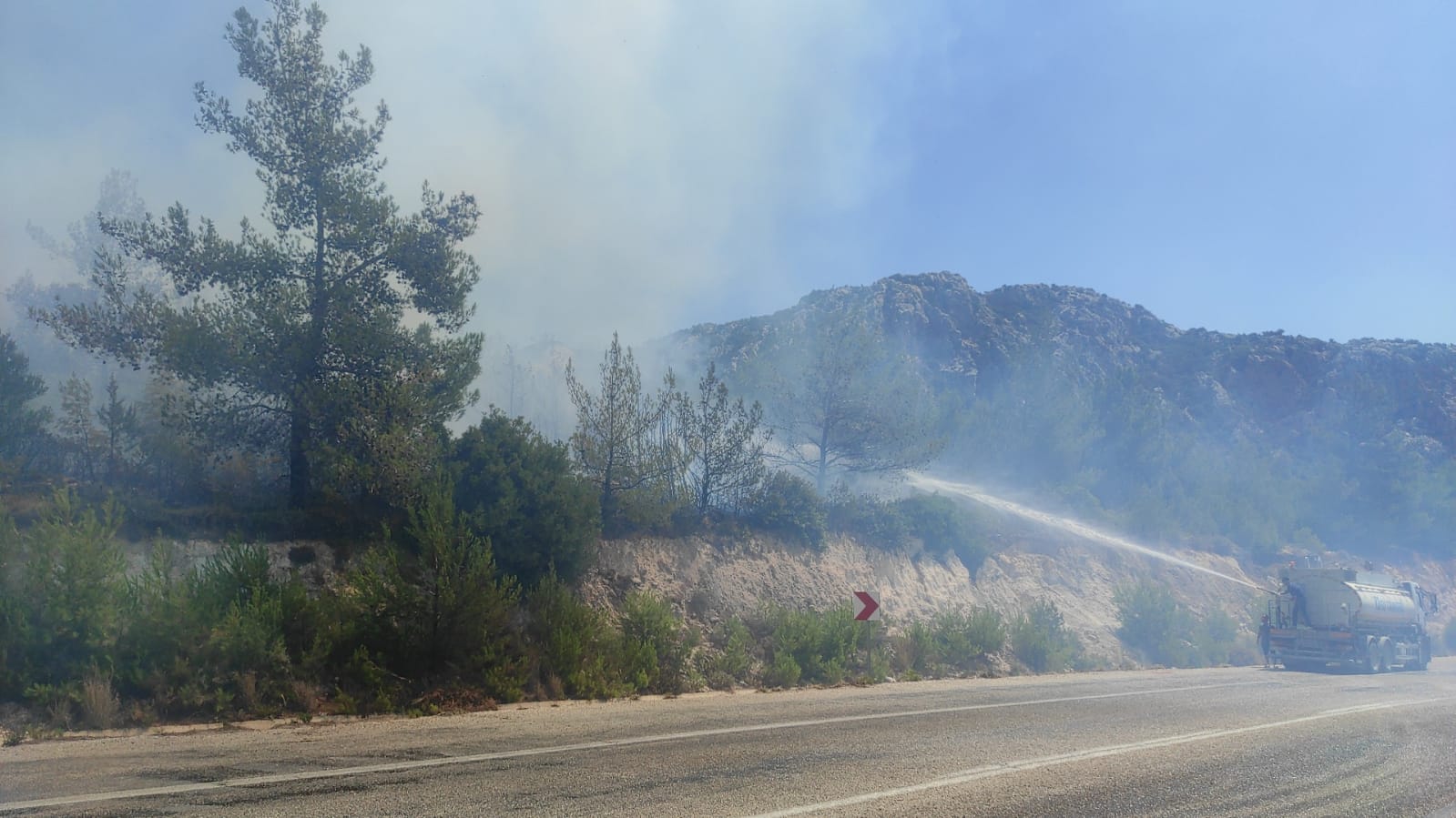 Hızlı hava ve kara müdahalesi yangını kontrol altına aldı