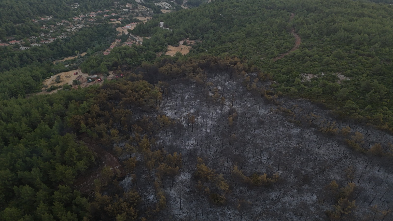 Gün ağarınca ortaya çıkan manzara yürek burktu