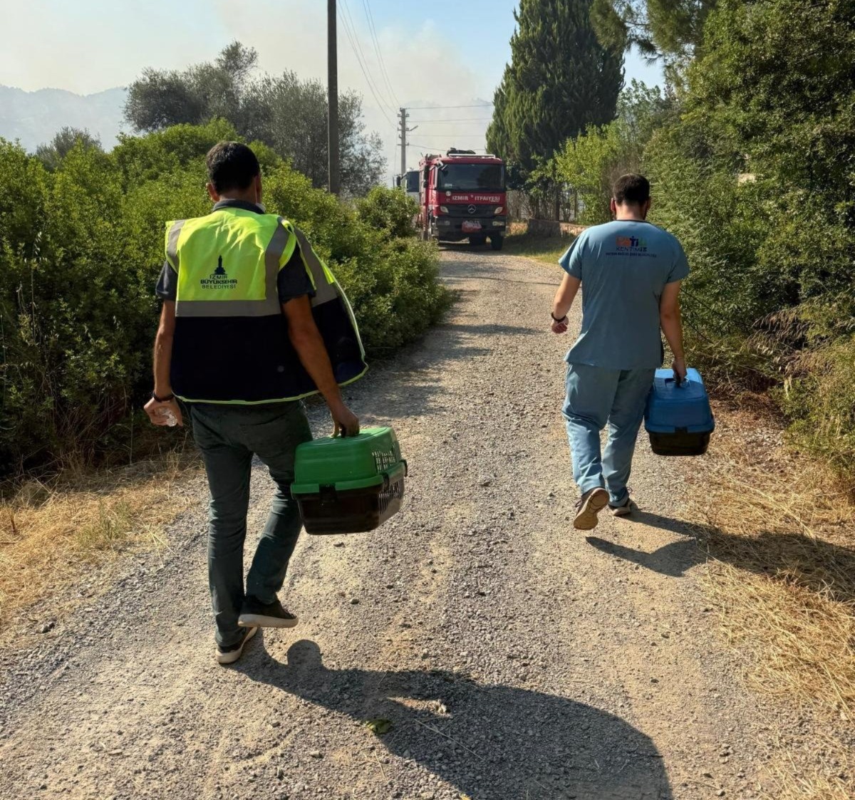 Sahada kapsamlı koordinasyon ve yardım