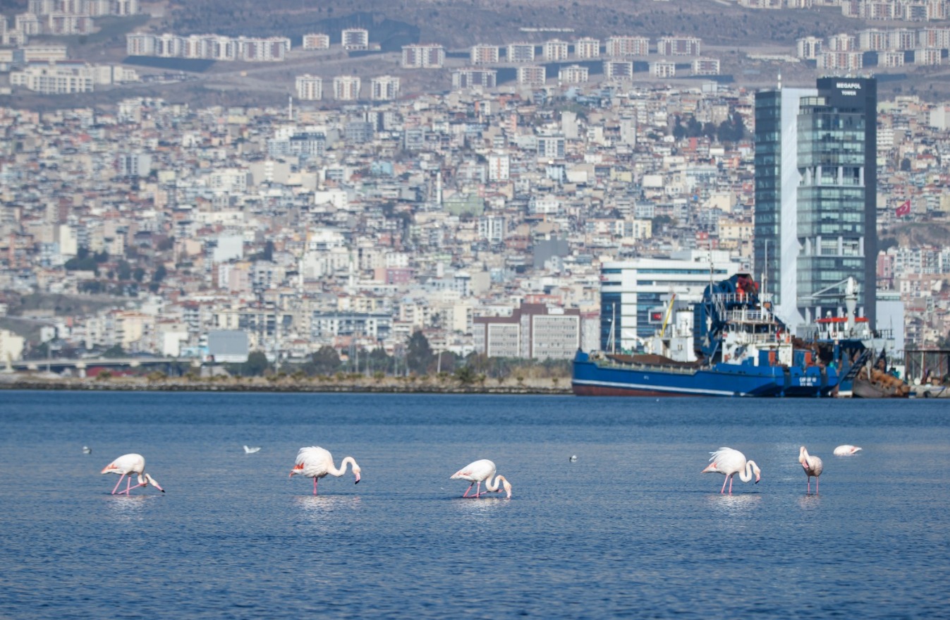 "Öncelikli tehlikelere odaklanıyoruz": Sıcak hava dalgası ve kıyı taşkınları