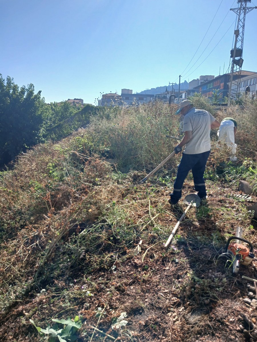 Ortak çalışmayla kapsamlı bakım
