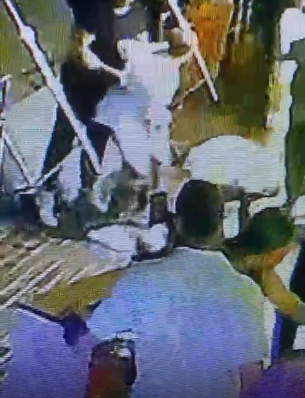 Mika Can Raun'un Erkek Arkadaşı Kavga