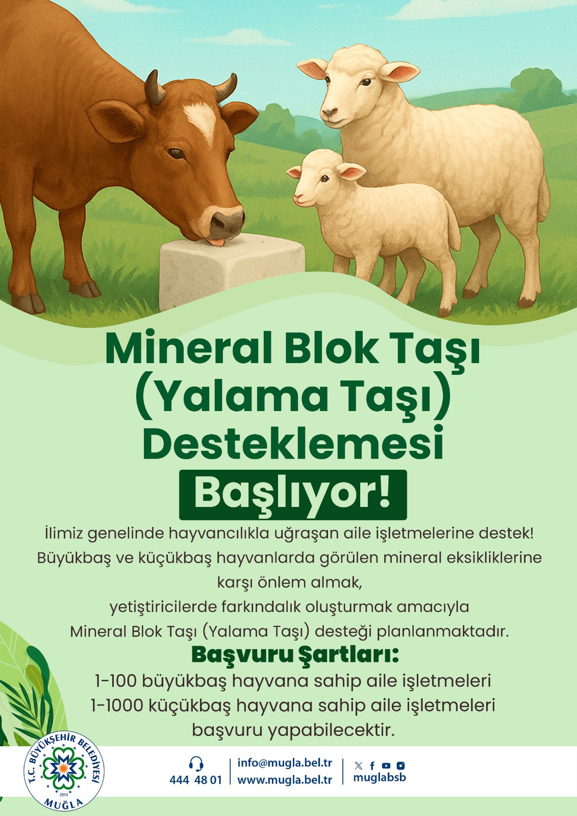 Başkan Aras: "Üreticimizi asla yalnız bırakmayacağız"