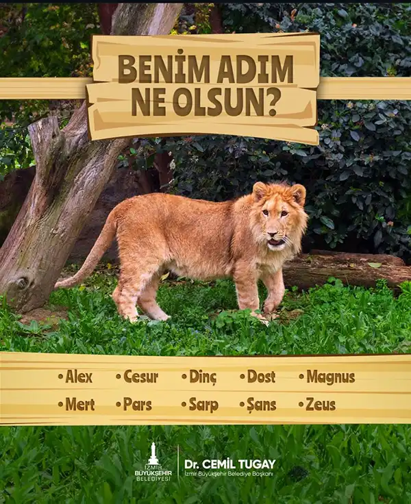 İsmini İzmirliler seçmişti