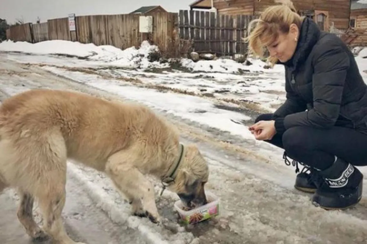“Artık sevgiyle tanışsınlar”