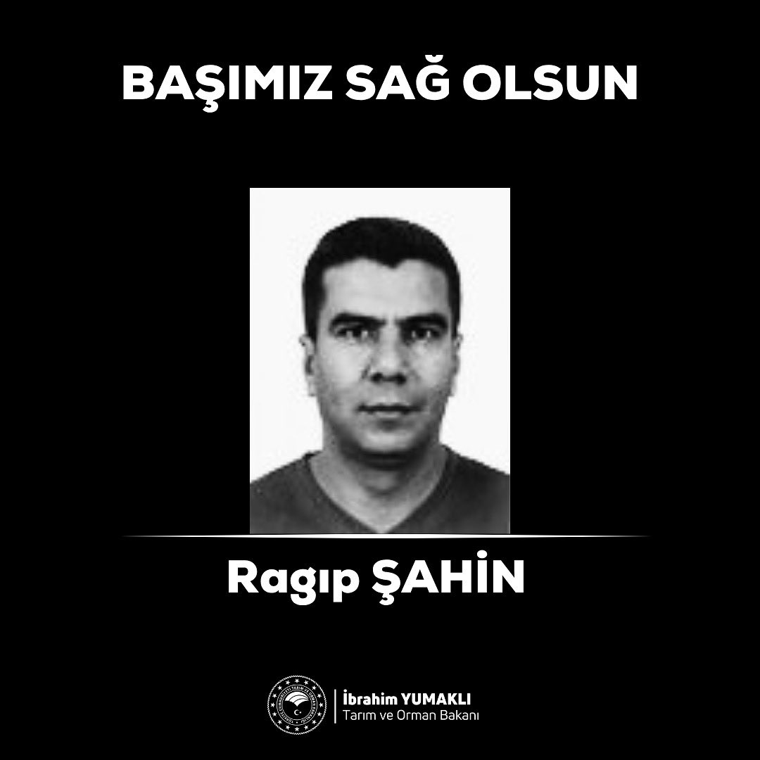 Ragıp Şahin