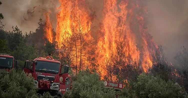 Sakarya Yangın 2