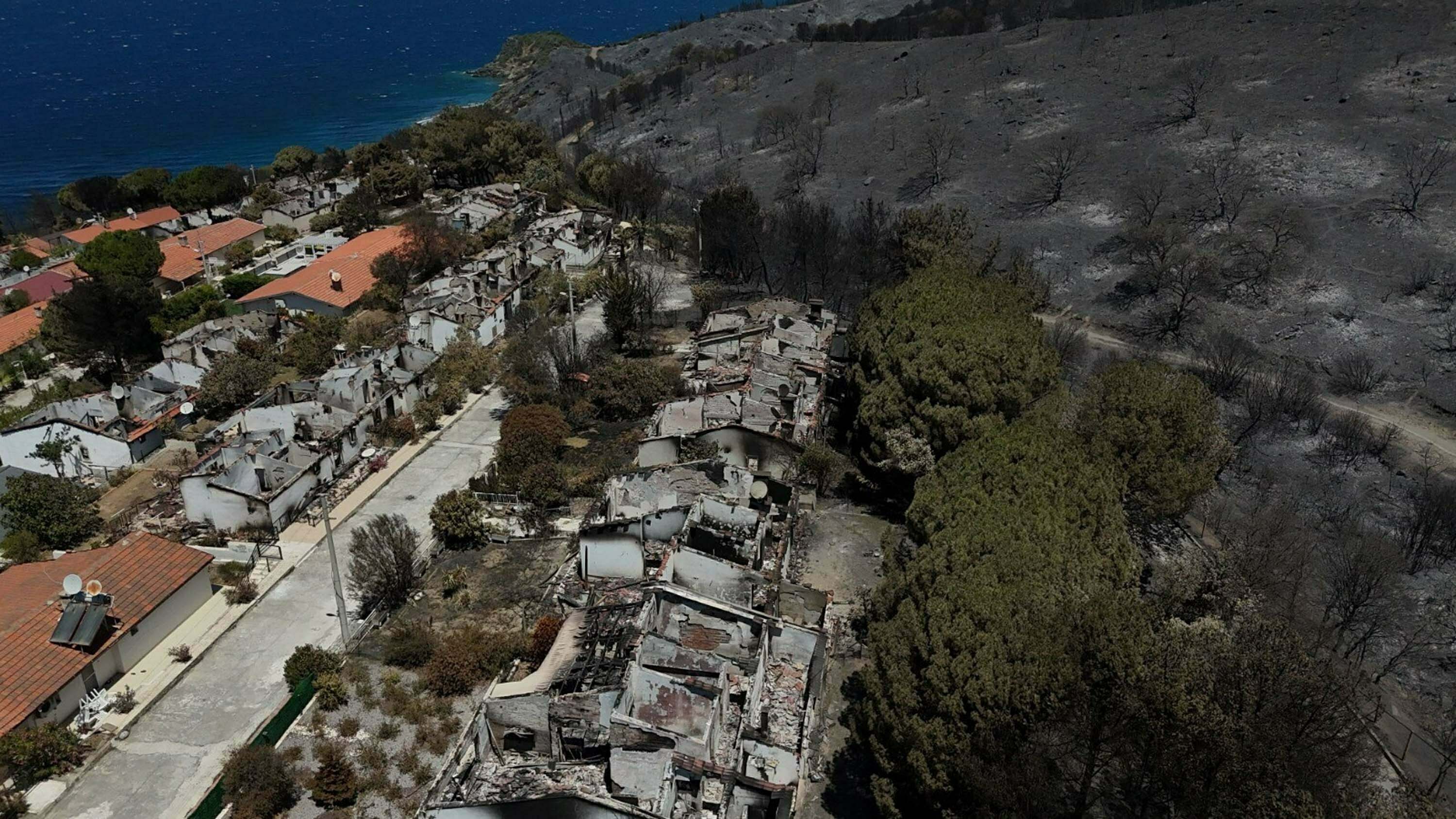 Yeşil alanlar kül oldu, orman griye büründü