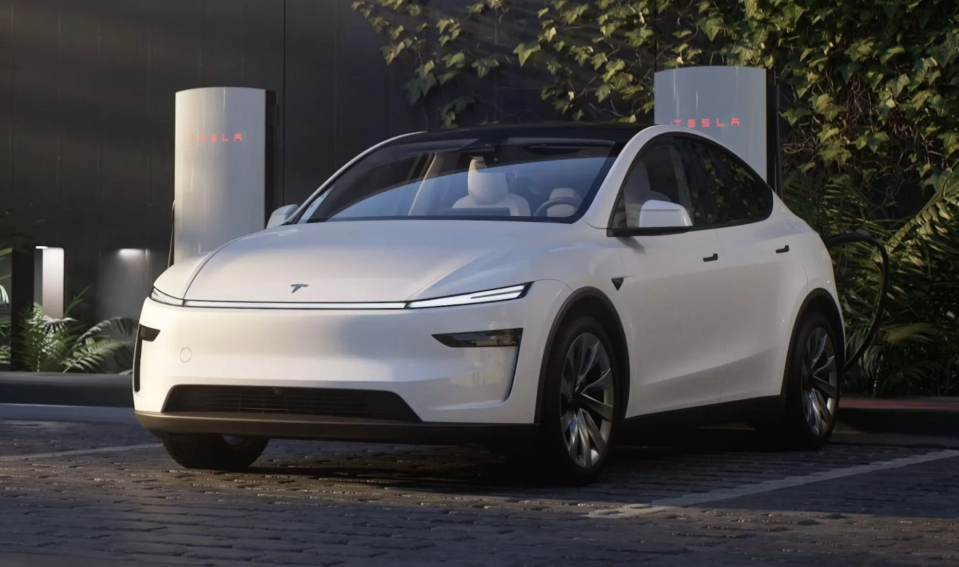 Tesla Model Y-4