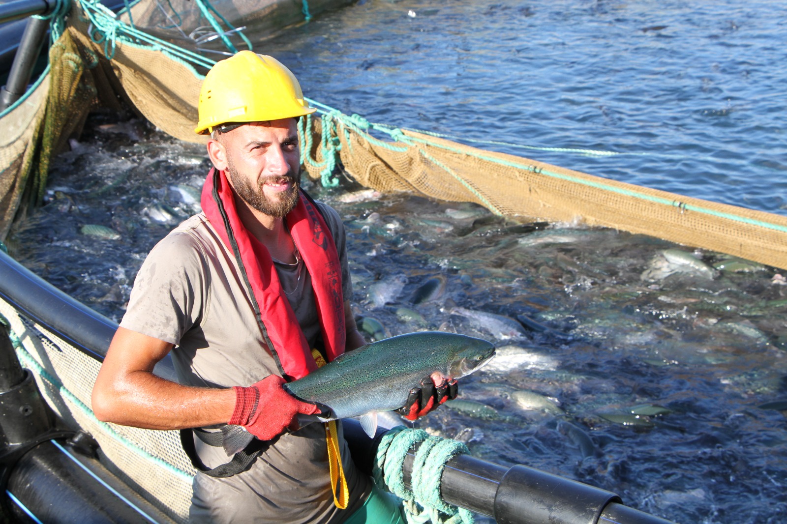 Fiyat artışları ve katma değerli ürünlerin etkisi