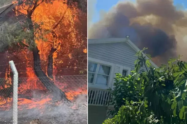 “Diva’mızı tahliye ettik”