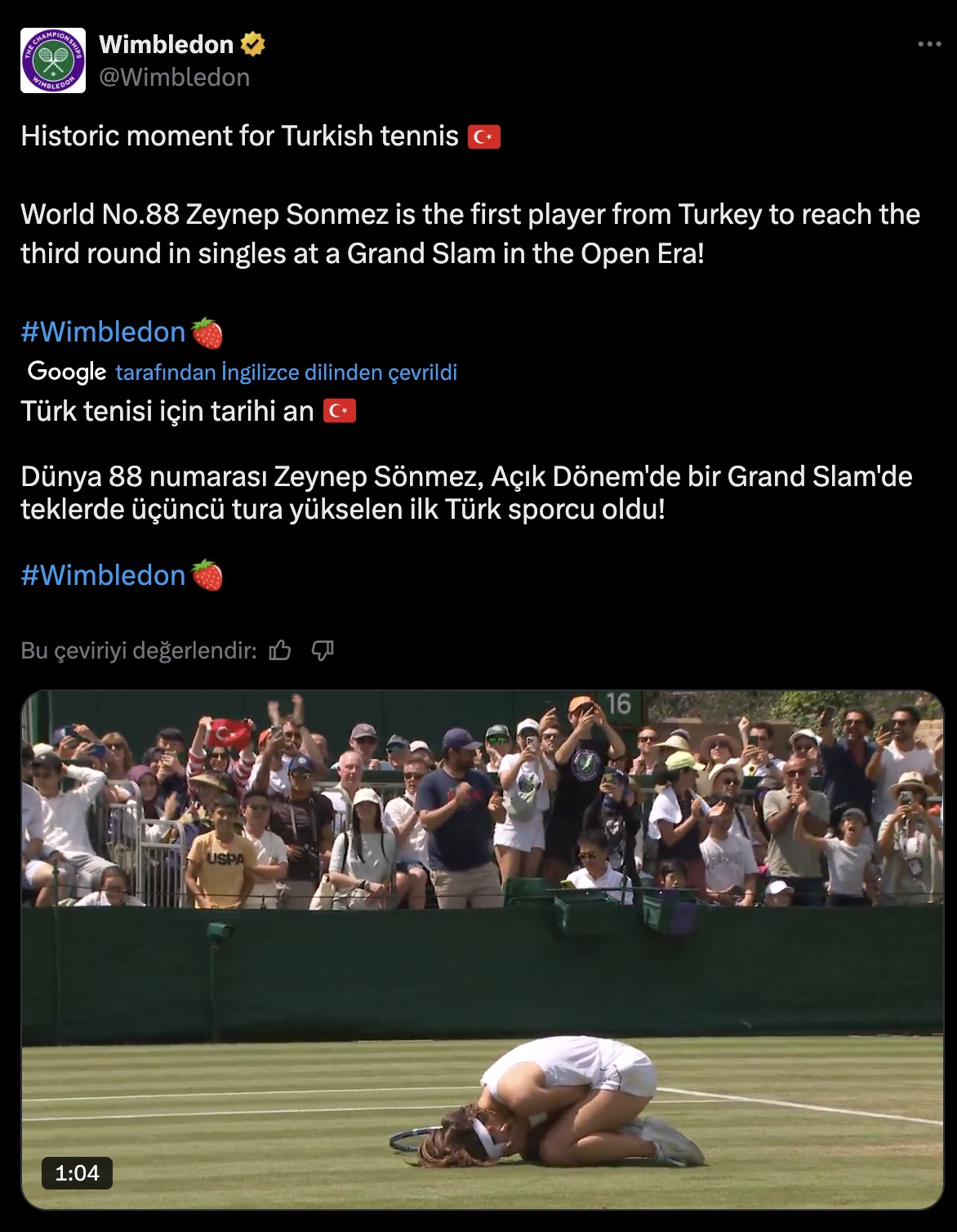 Wimbledon Zeynep Sonmez