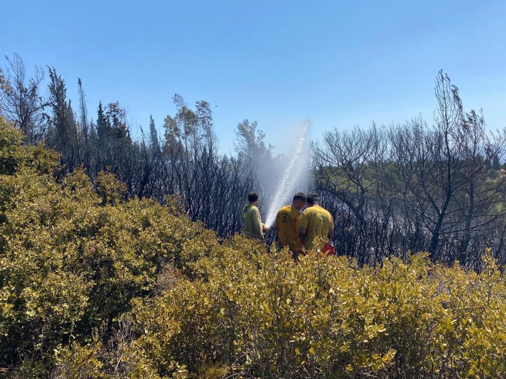 Dakikalar içinde müdahale