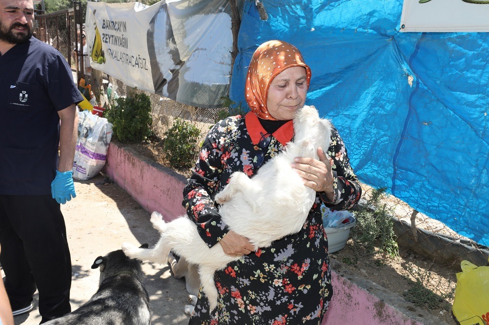 Barınaktaki can dostların sağlık durumu iyi