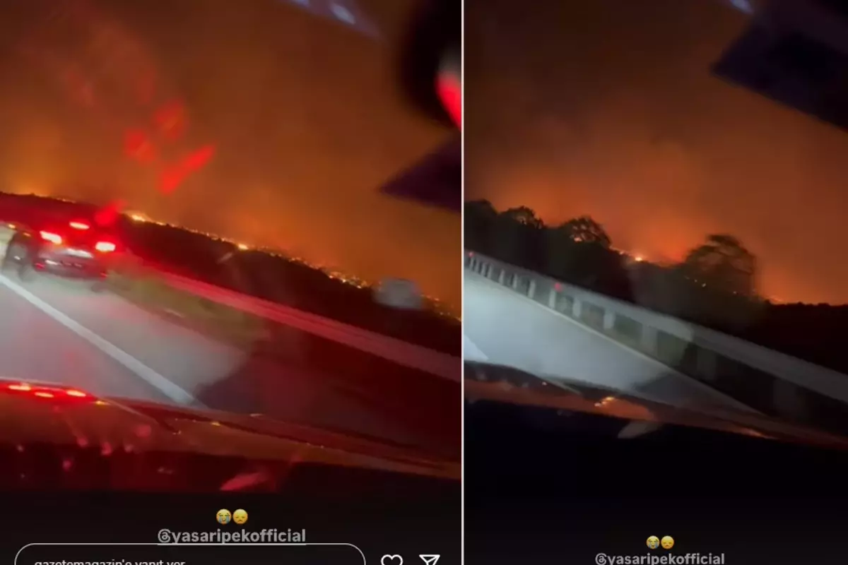 Yangın ormanlık alana sıçradı