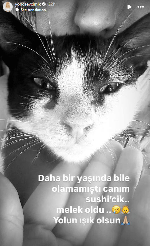 Yonca Evcimik (1)