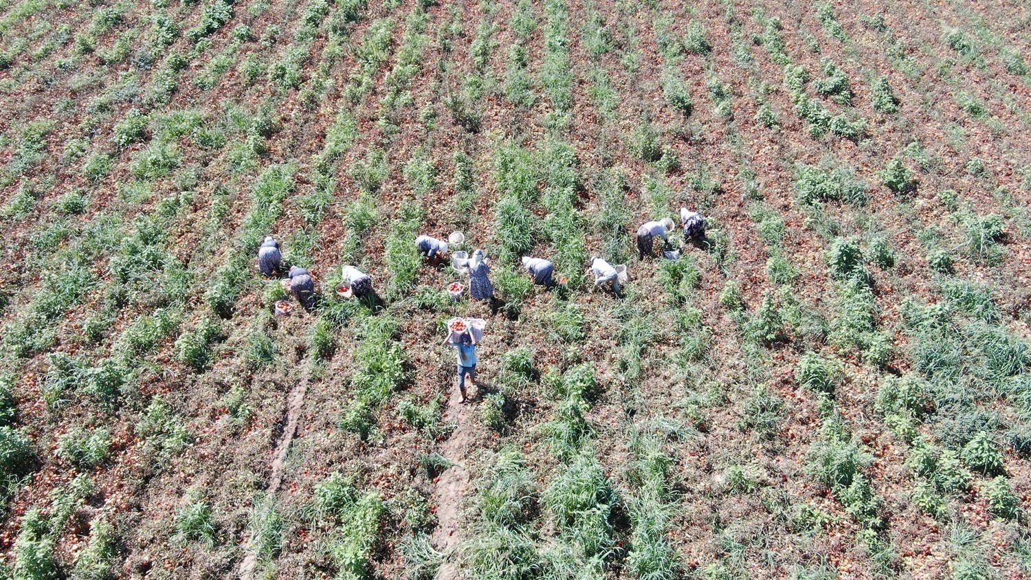 Ağır yüklerle beraber zorlaşan mesai saatleri