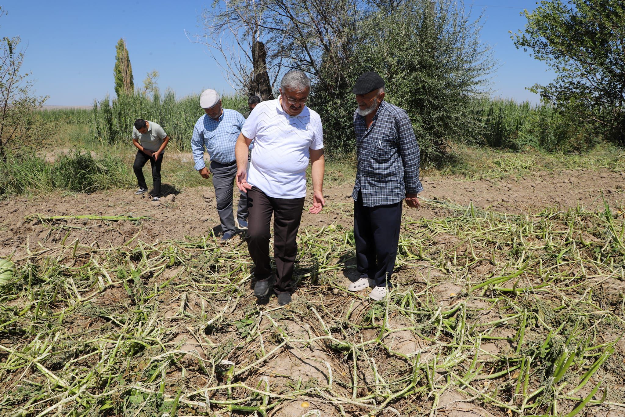 Afyon dolu incelemesi