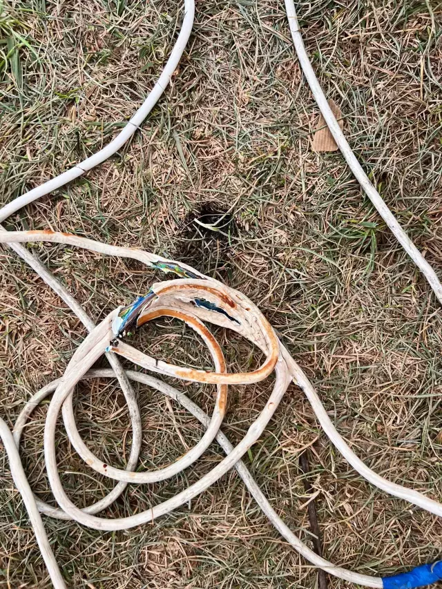 Festival alanında facia