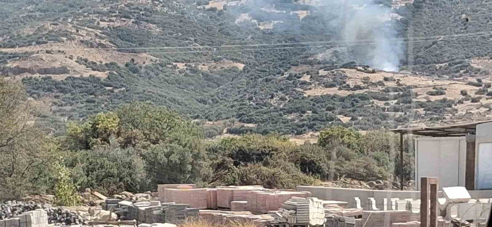 Aliağa’da Makilik Alanda Yangın 1