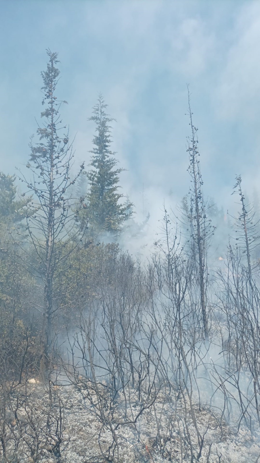 Ekipler ve halk seferber oldu