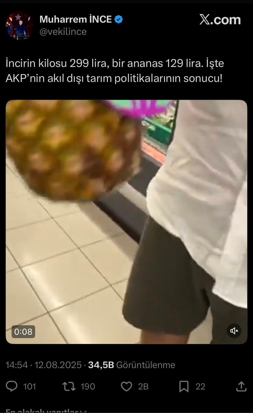 “Kosta Rika’dan gelen Ananas 129 TL”