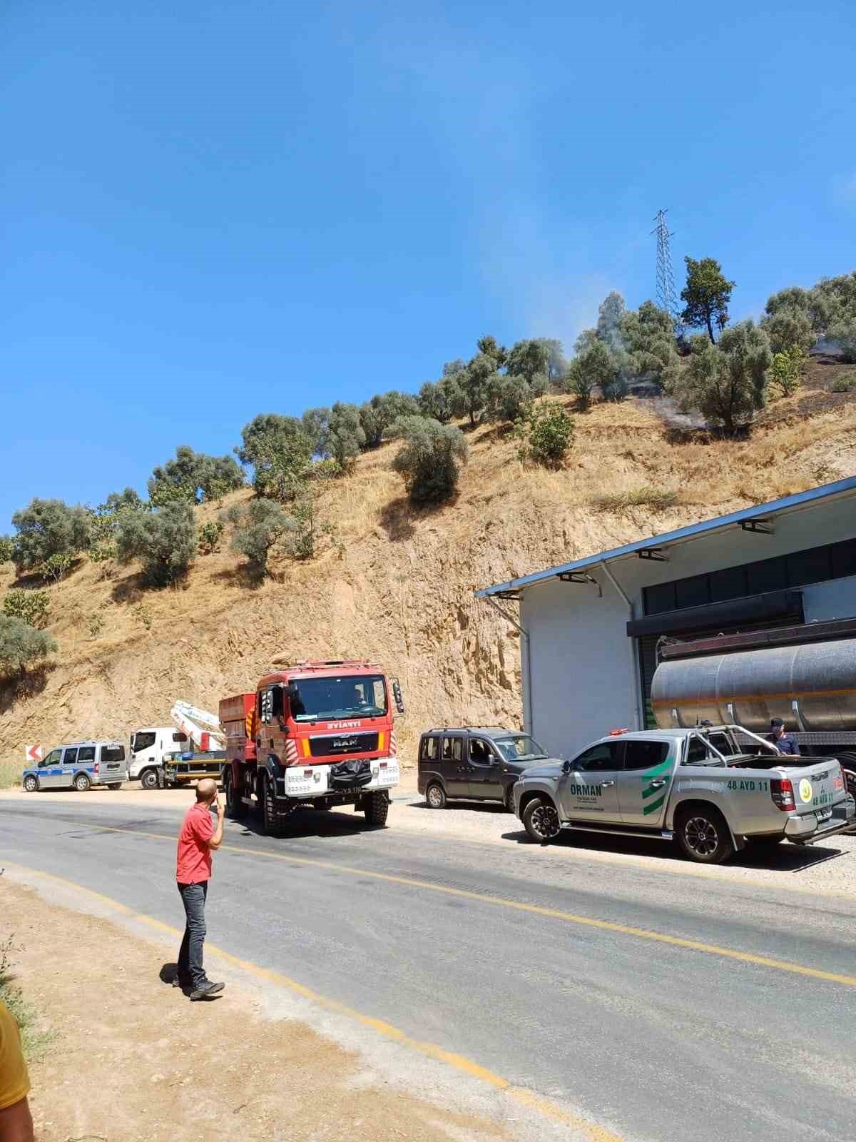 Aydın’da Zirai Alan Yangını 1