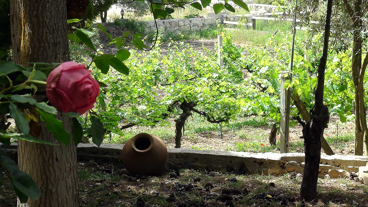 “İzmir’de filizlendi, Türkiye’ye yayıldı”