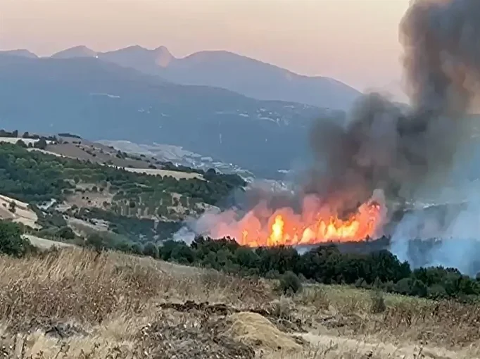 Balıkesir Yangın 1