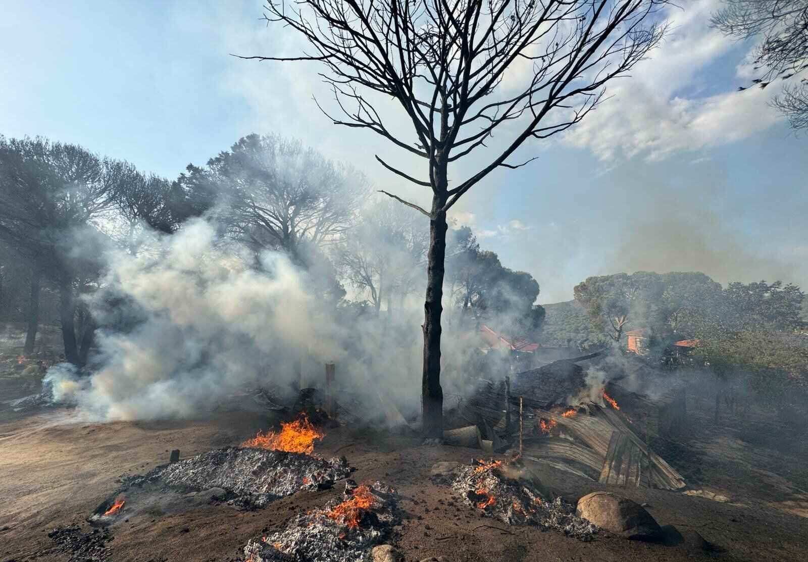 Bergama Yangıın (1)